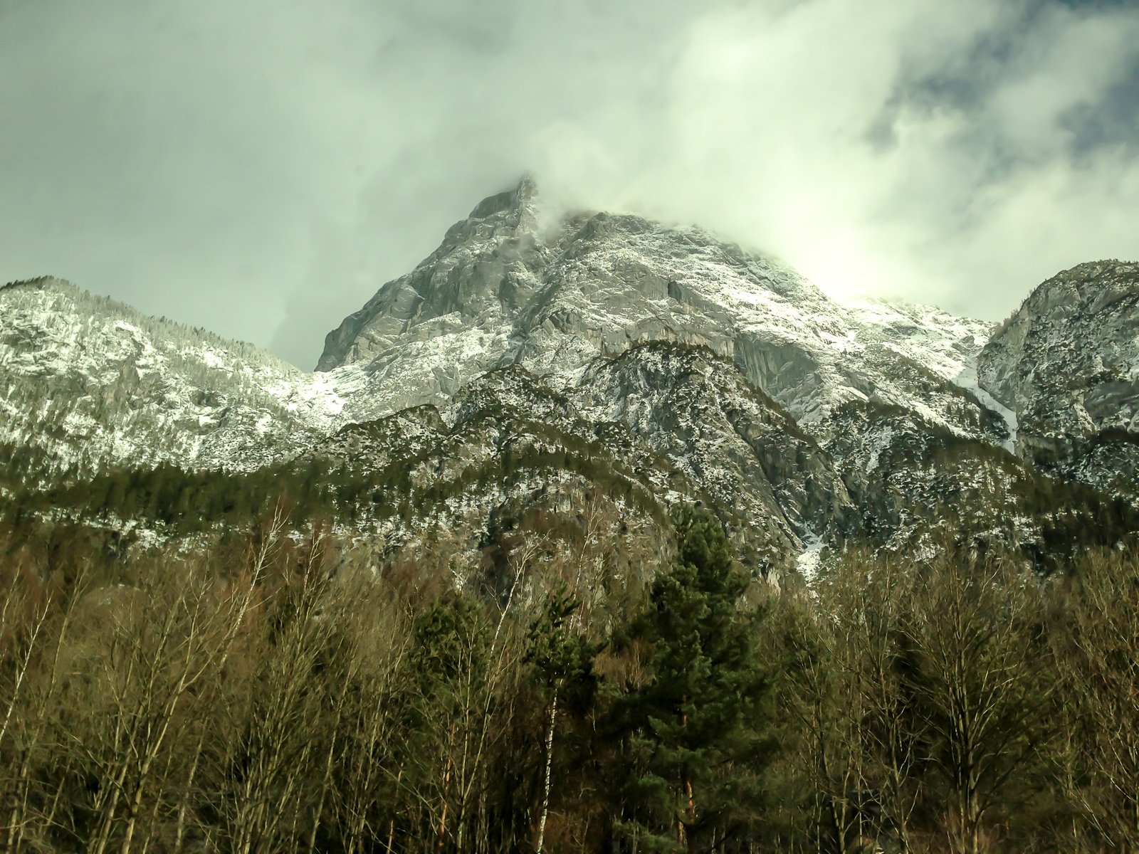 Im Zug durch die Alpen