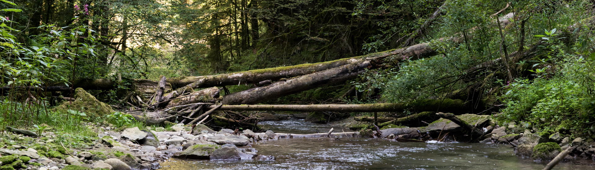 Featured image of post Zehn Kilometer durch’s Wasser