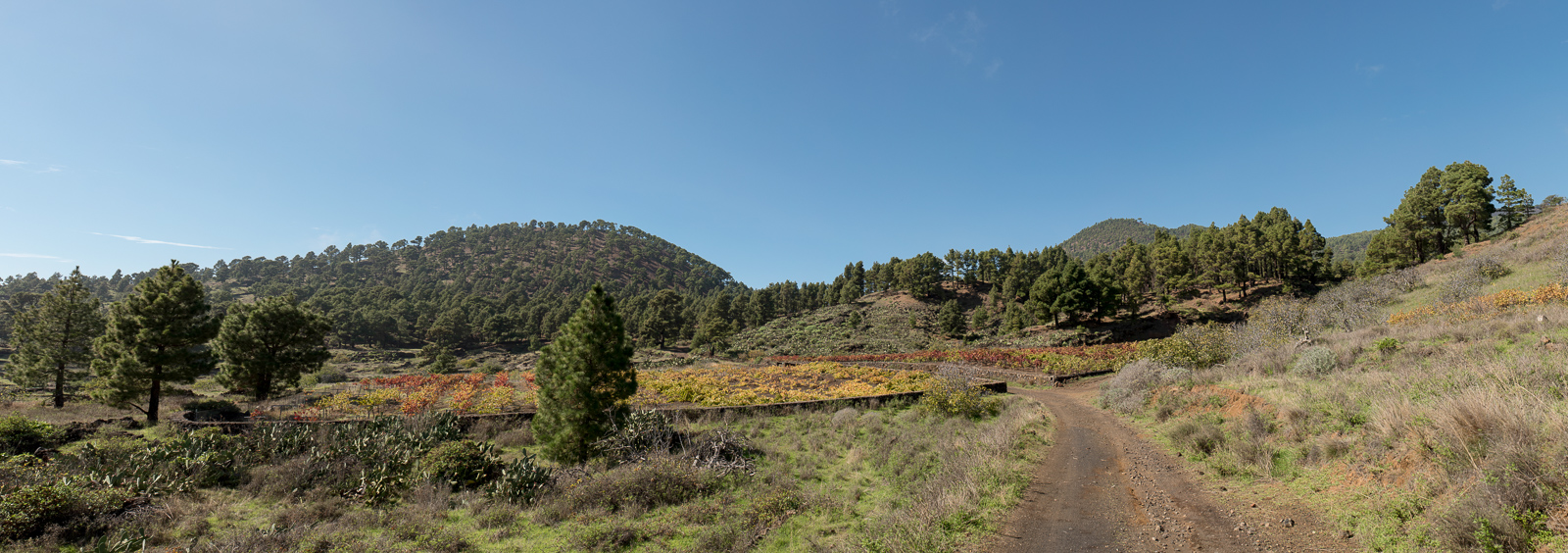 Weingärten, La Empalizada, Mercader
