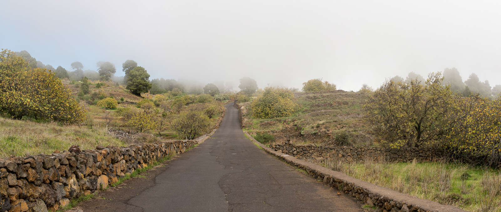 Bei Las Casas im Nebel