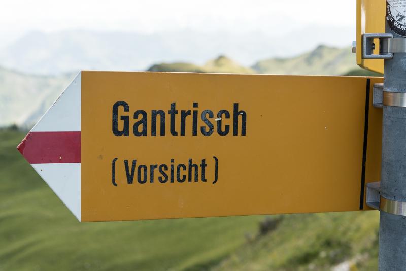 Featured image of post Gantrisch