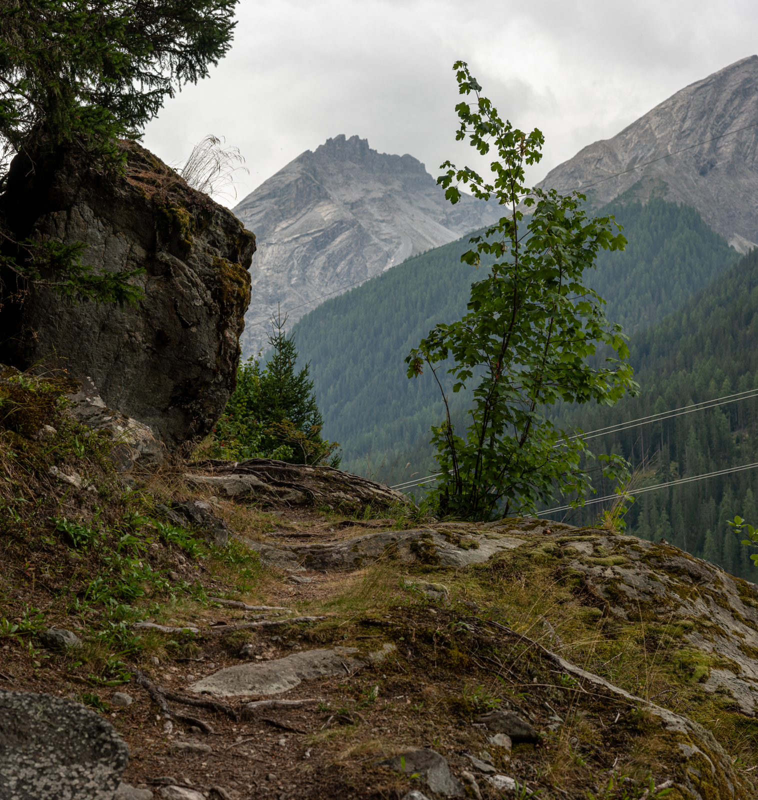 Auf dem Weg nach Bergün