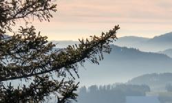 Featured image of post Guggershörnli