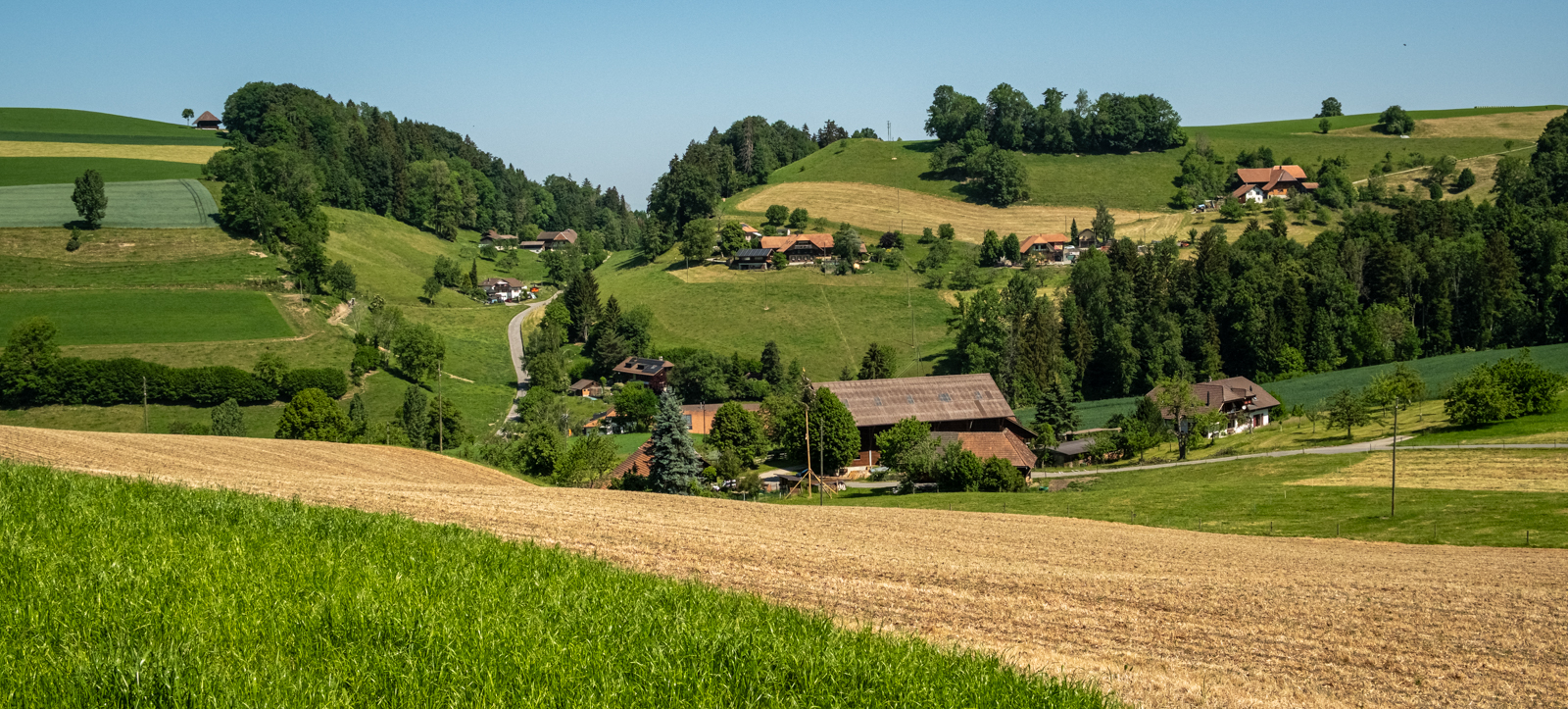 Bei Niederscherli