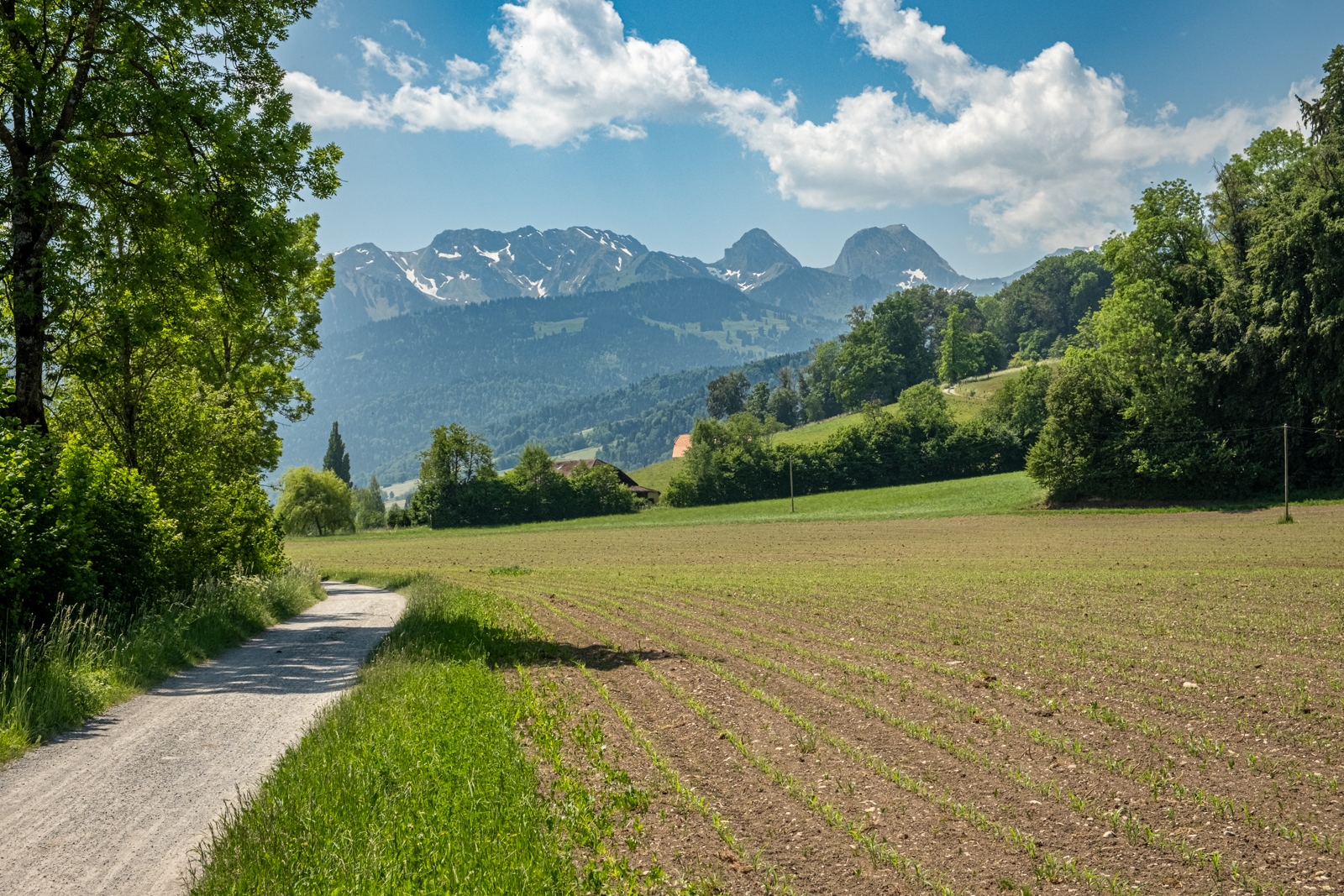 Nünenenflue und Gantrisch