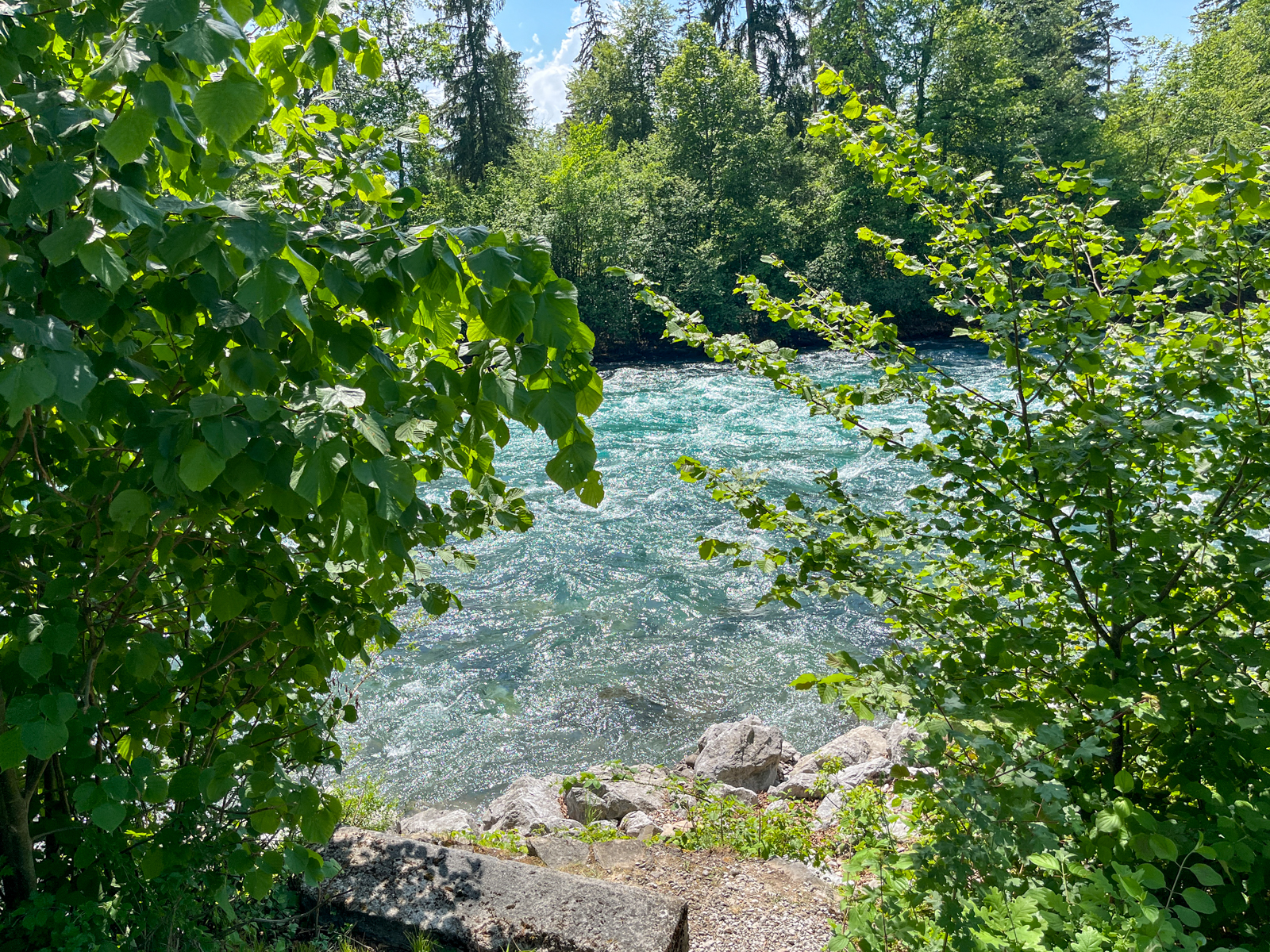 Erfrischung an der Aare