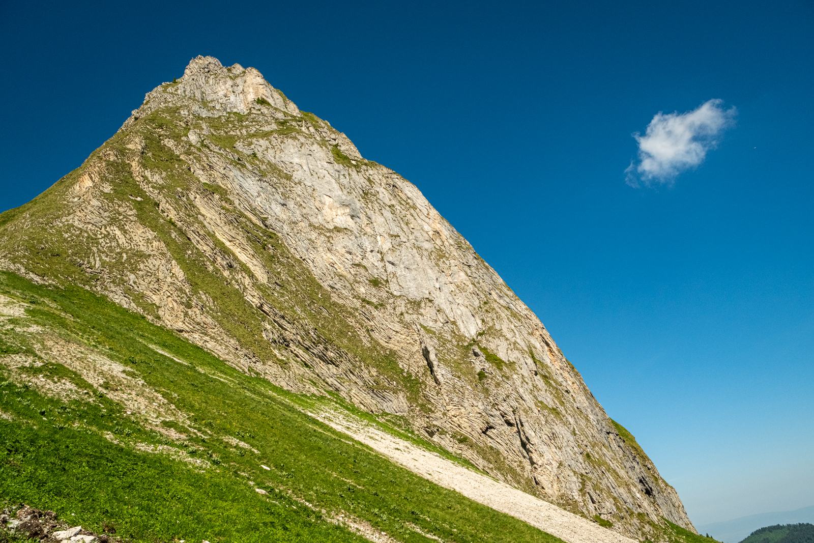 Auf dem Weg zum Leiterepass
