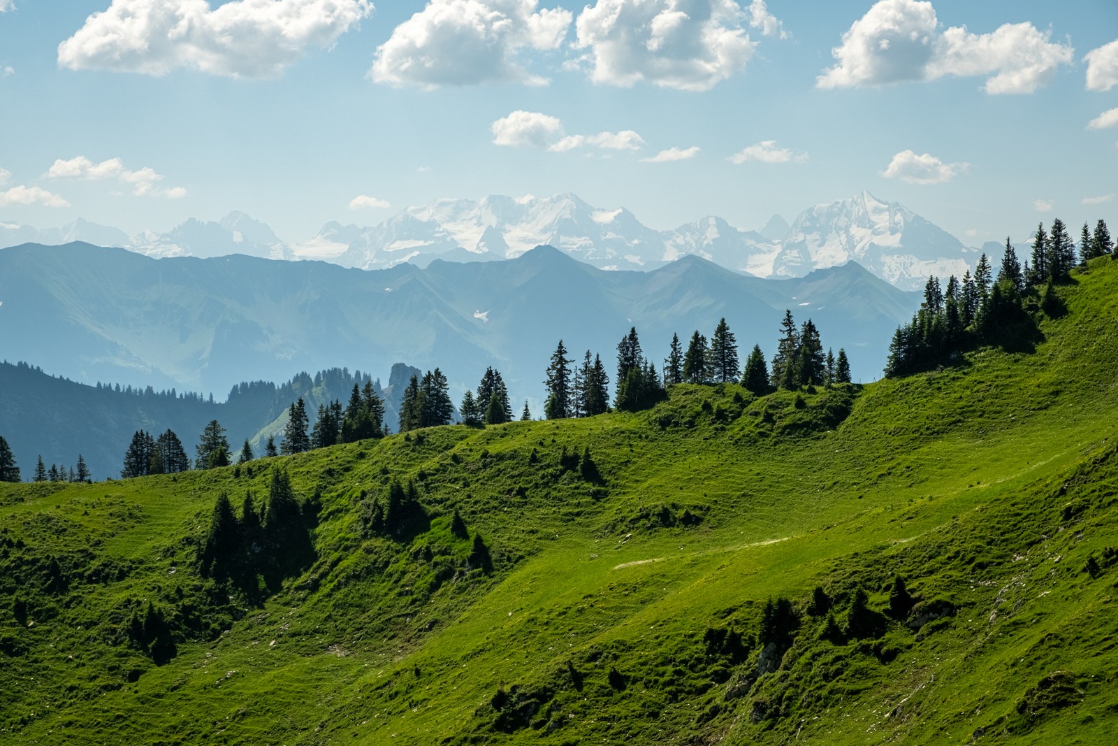 Ein bisschen Alpenpanorama im Dunst